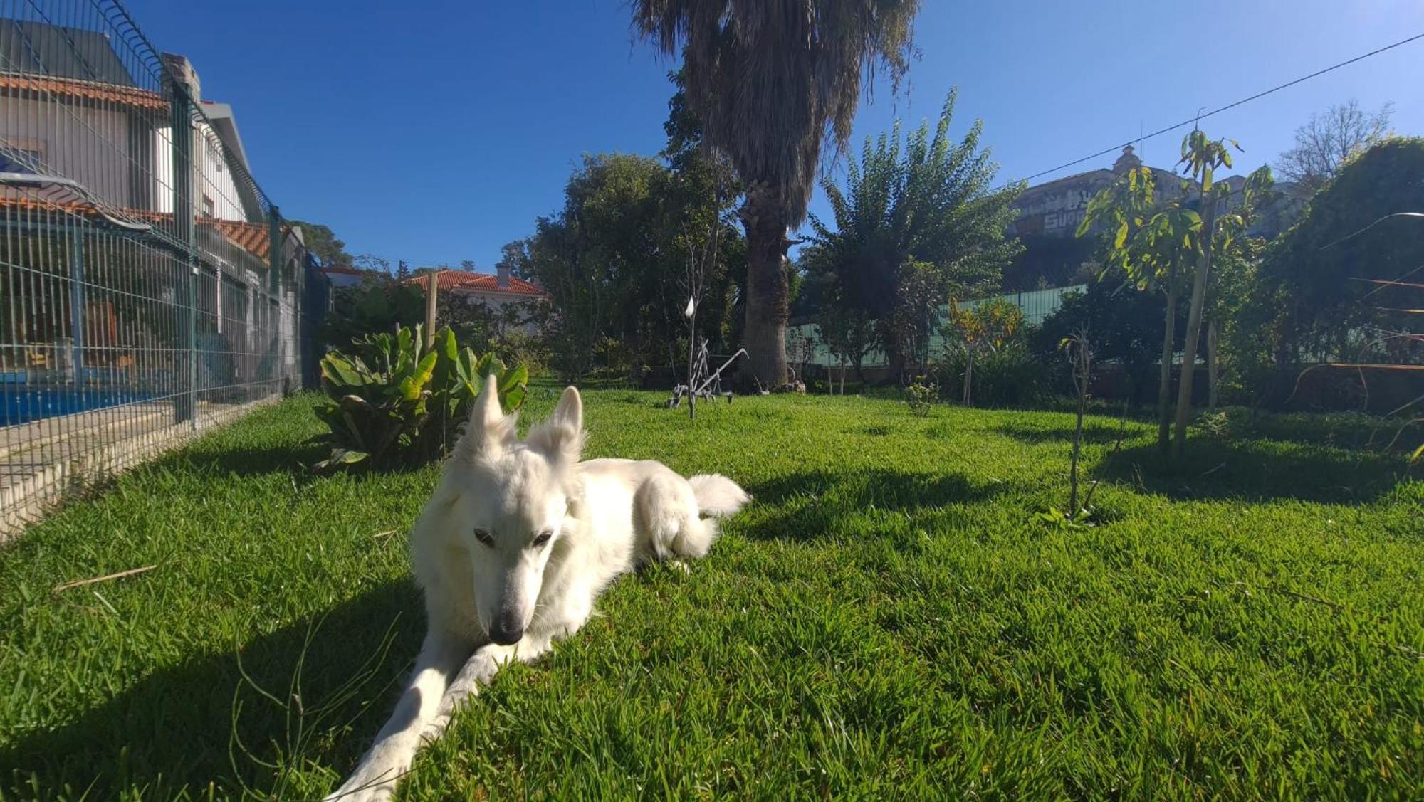Hostel Jardins De Sao Luis Setúbal Buitenkant foto