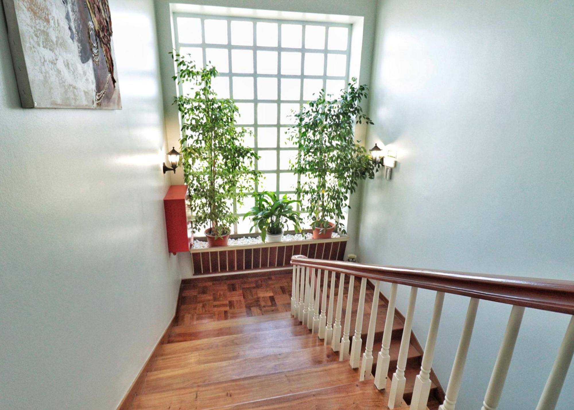 Hostel Jardins De Sao Luis Setúbal Buitenkant foto